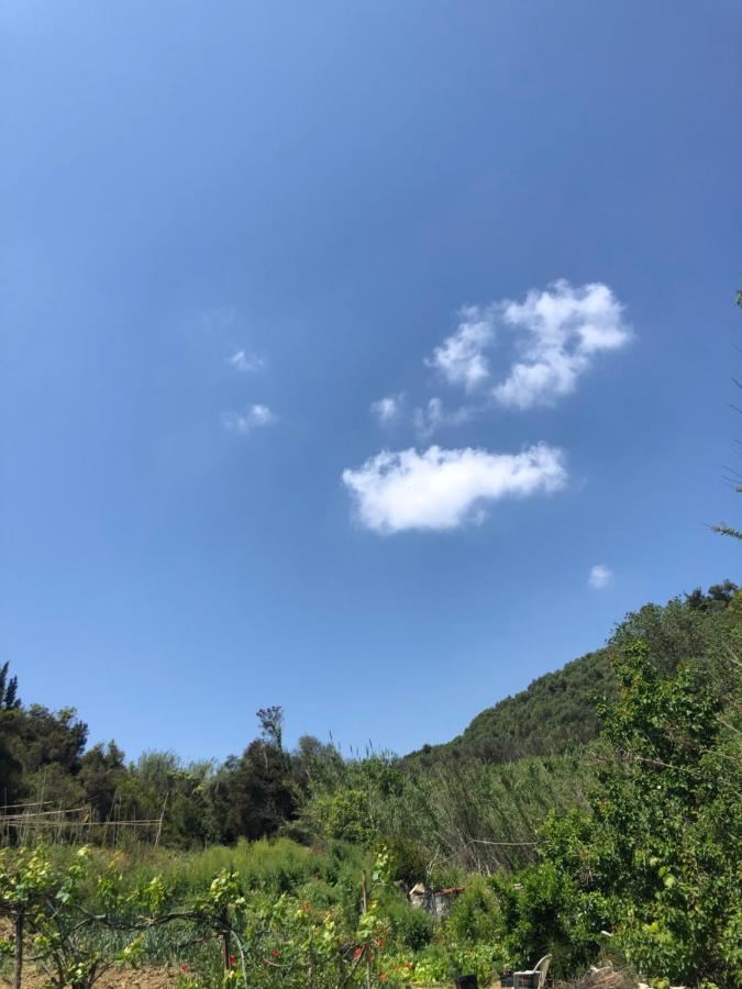 Villa Vasiliki Vitaládes Buitenkant foto
